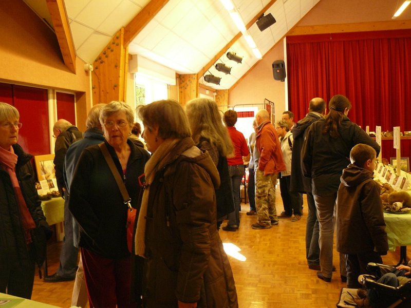 2009 10 Expo champignons de Clairefontaine 10